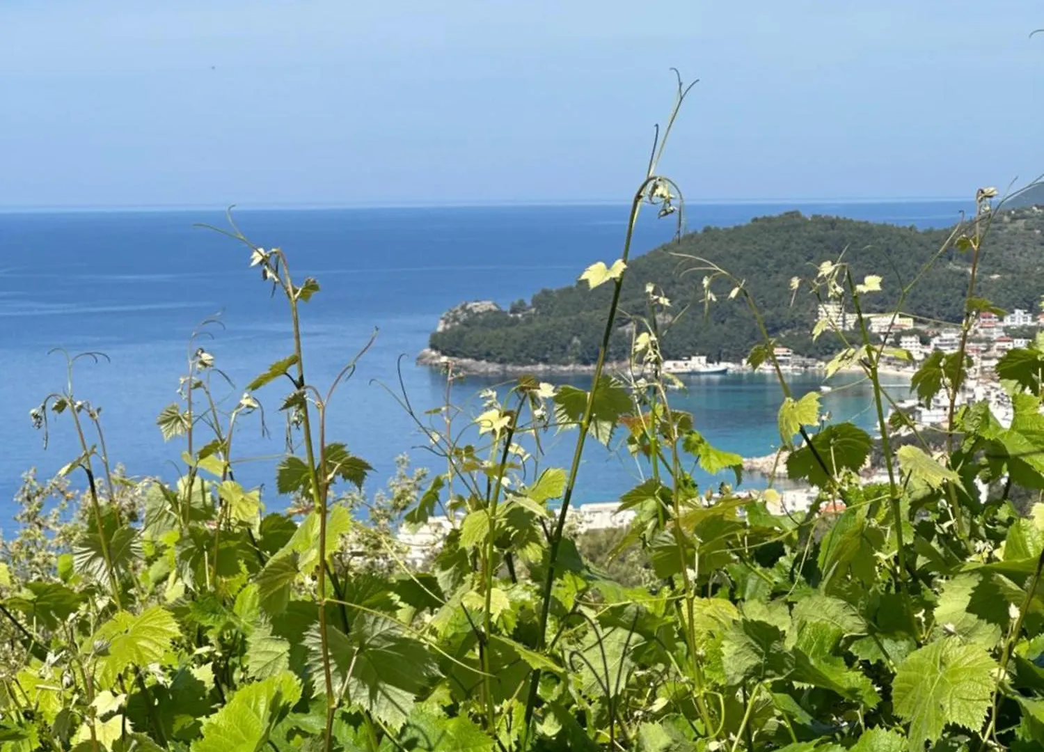 Elea Guesthouse Himare