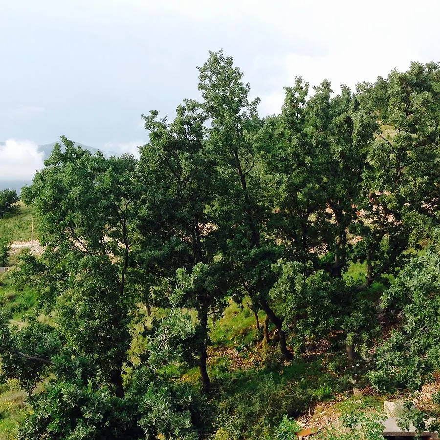 Affittacamere ELÉA Guesthouse himare